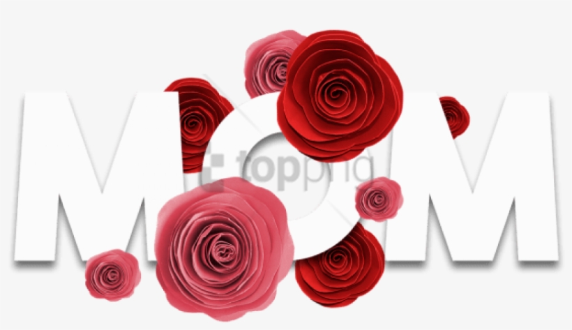 Free Png Mãe, Palavra Com Rosas Livre E Psd - Garden Roses, transparent png