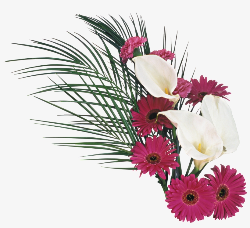 Красивые Картинки С Днём Учителя С Цветами, transparent png