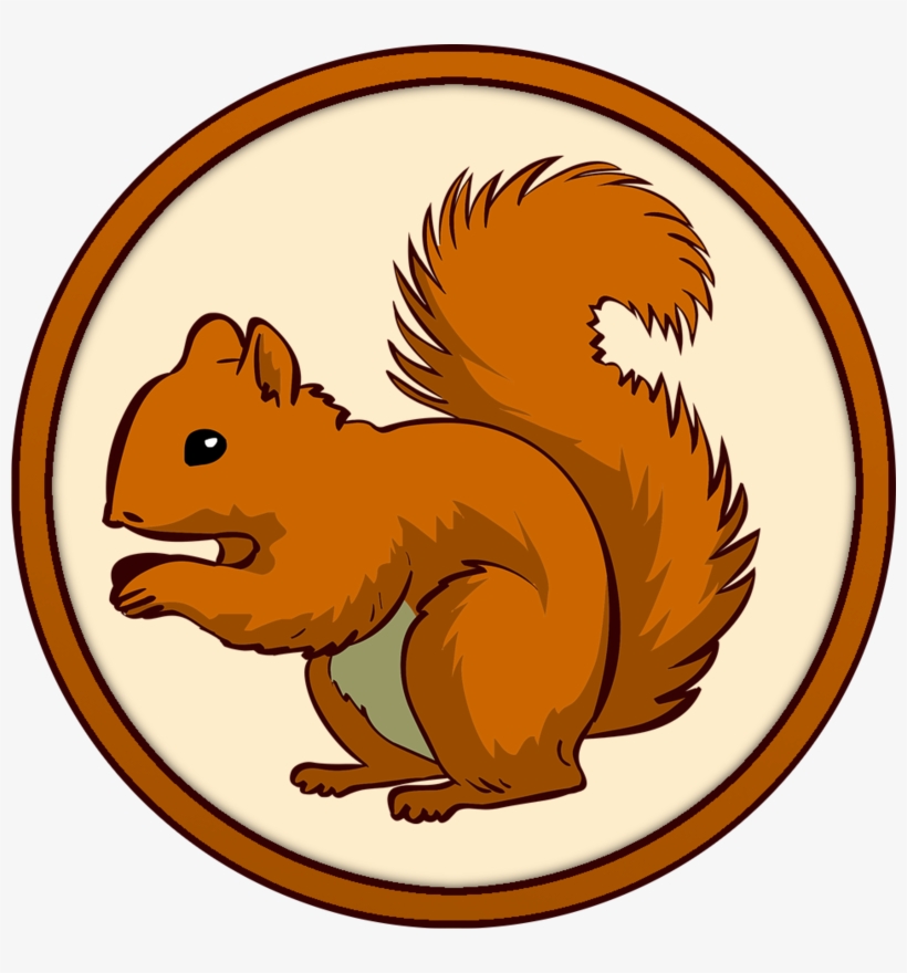 Squirrel ] - Squirrel Clipart Png, transparent png