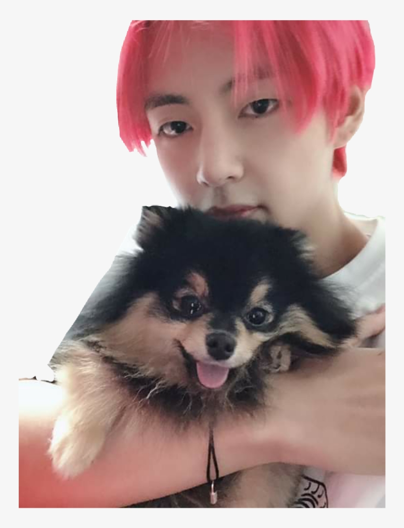 #yeontan #taehyung #bts #png - Taehyung And Yeontan, transparent png