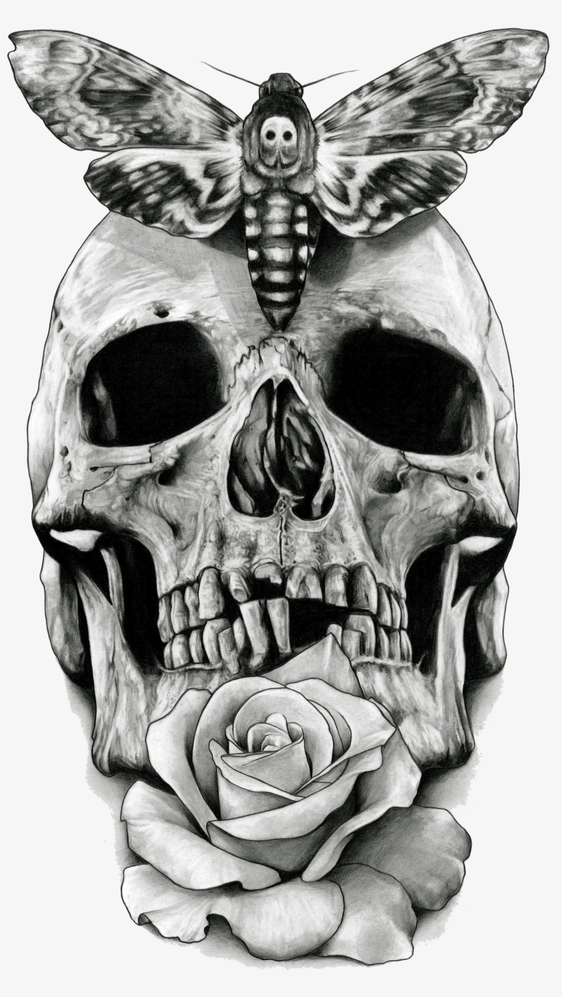 Moth On Skull Print - Death's Head Hawkmoth Tattoo, transparent png