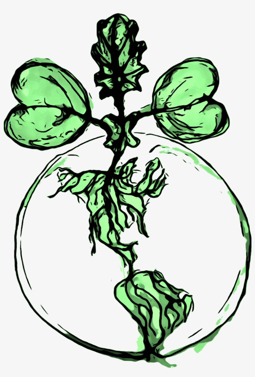 Backyardharvestlogo, transparent png