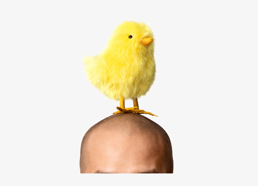 Man With Yellow Easter Chicken Decoration On Head, transparent png