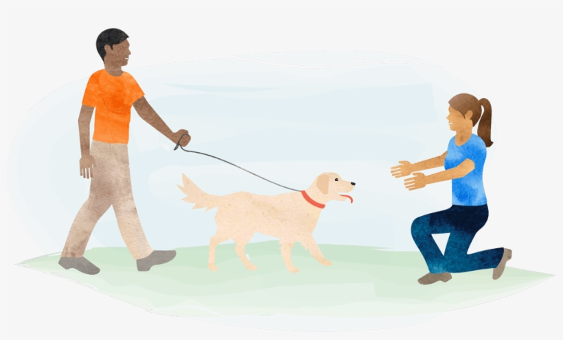 Get Your Pet Meet Up - Dog Catches Something, transparent png
