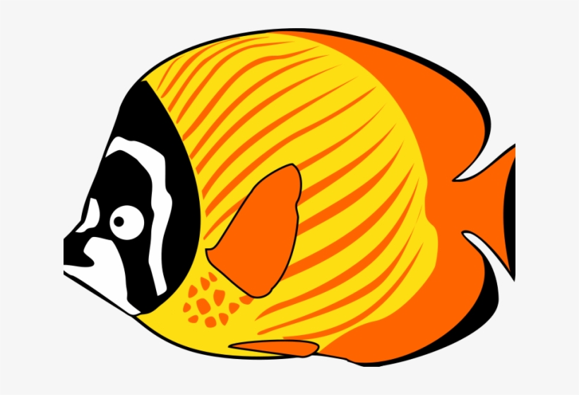 Fish Sea Animals Clipart, transparent png