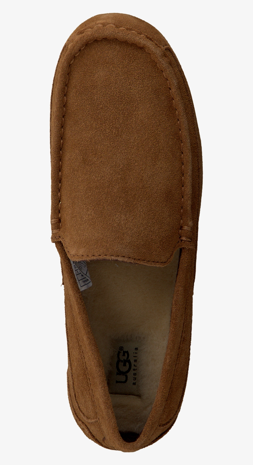 Cognacfarbene Ugg Slipper Alder - Suede, transparent png