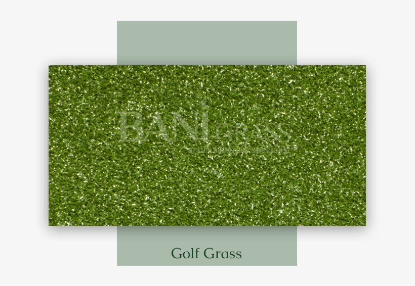 The Gallery For > Golf Grass Png - Lawn, transparent png