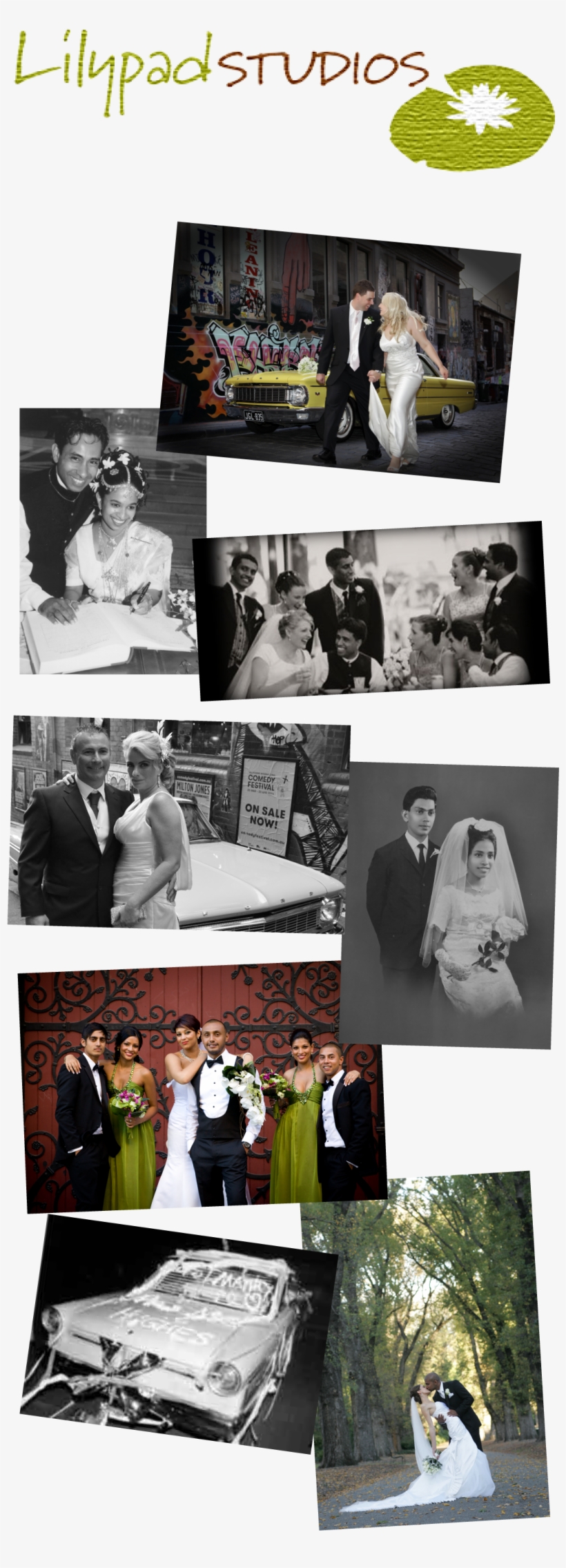 Site Logo - Photograph, transparent png