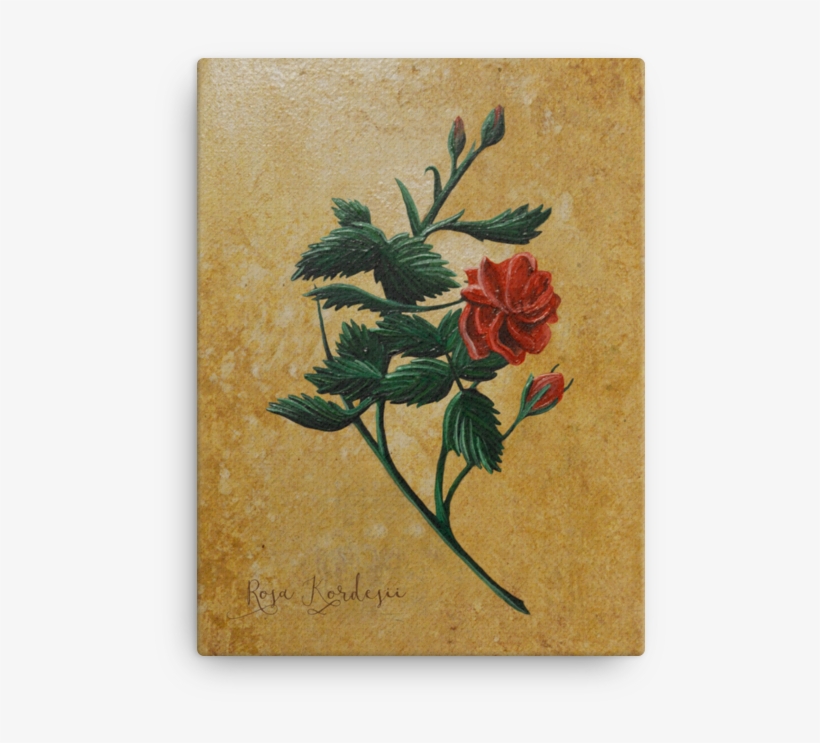 Japanese Camellia, transparent png