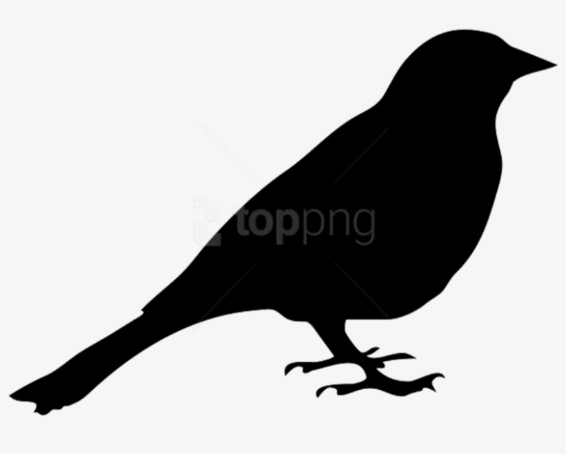 Free Png Birds Png Images Transparent - Pigeon Face Silhouette, transparent png