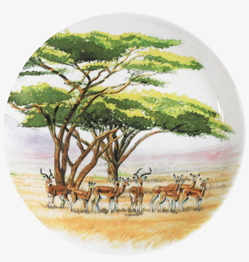 Plate, transparent png