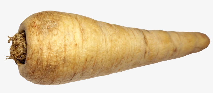 Download Png - Parsnip Png, transparent png