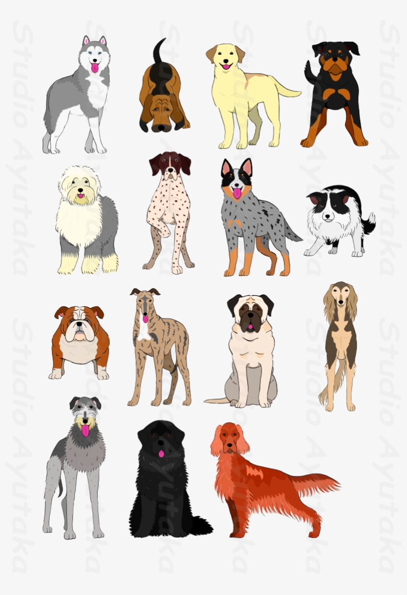 Group Of Large And Middle Dogs Breeds Hand Drawn - Dogs Clip Art Group, transparent png