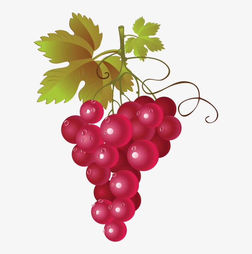 Hop Grape Vines - Red Grapes Clipart Png, transparent png