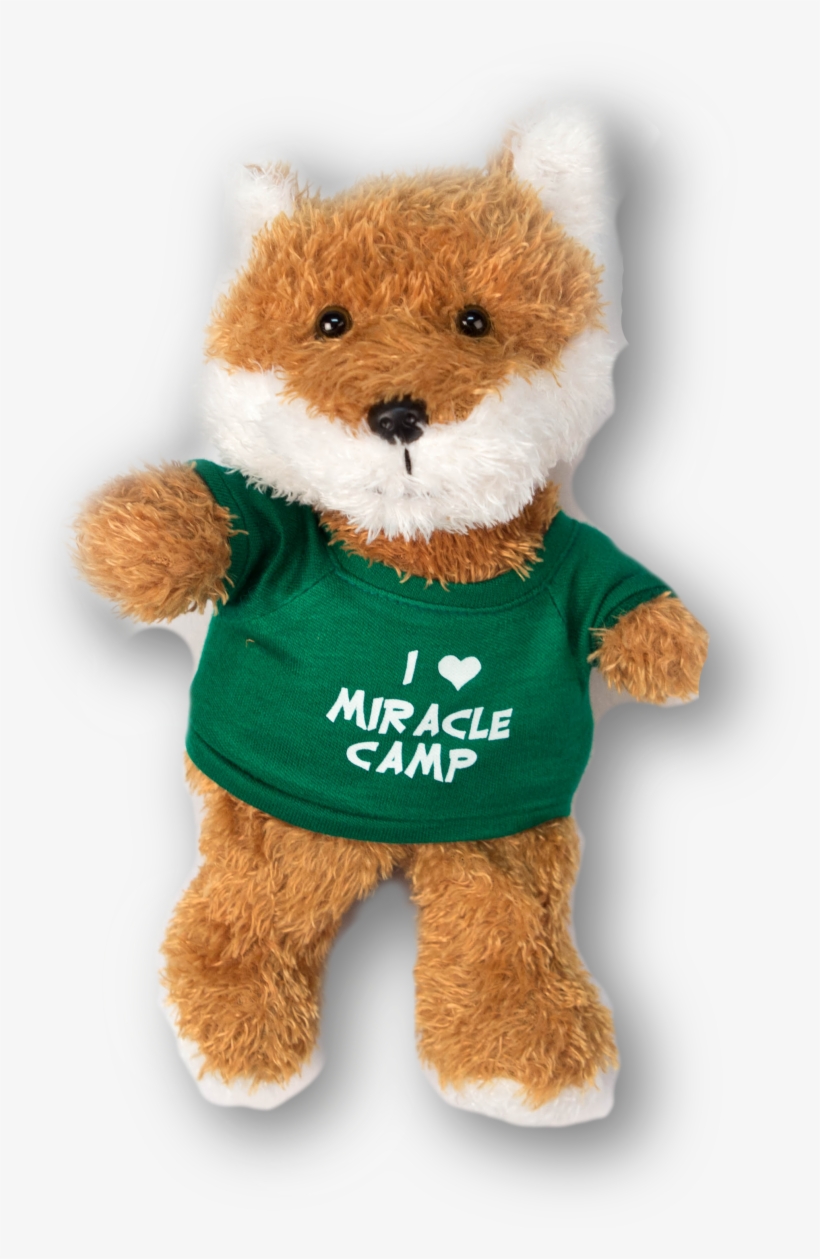 Teddy Bear, transparent png