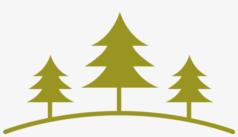 2017 Refresh @ Evergreen - Christmas Tree, transparent png