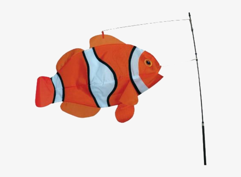 Image Of Clownfish Swimming 3d Fish - Manche A Air Poisson, transparent png