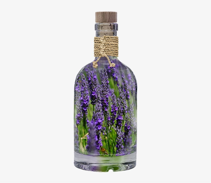 Lavender, Bottle, Plant, Spring, Purple, Nature, Field - Lavender Bottle, transparent png