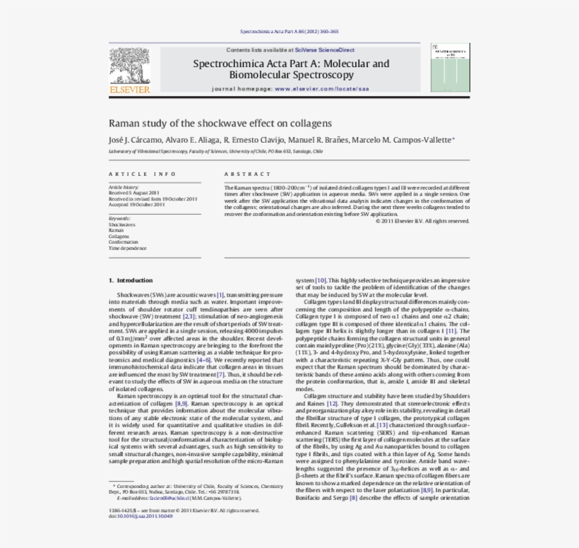 Pdf - Folio Seventeen From Burchard Of Sion's De Locis Ac, transparent png