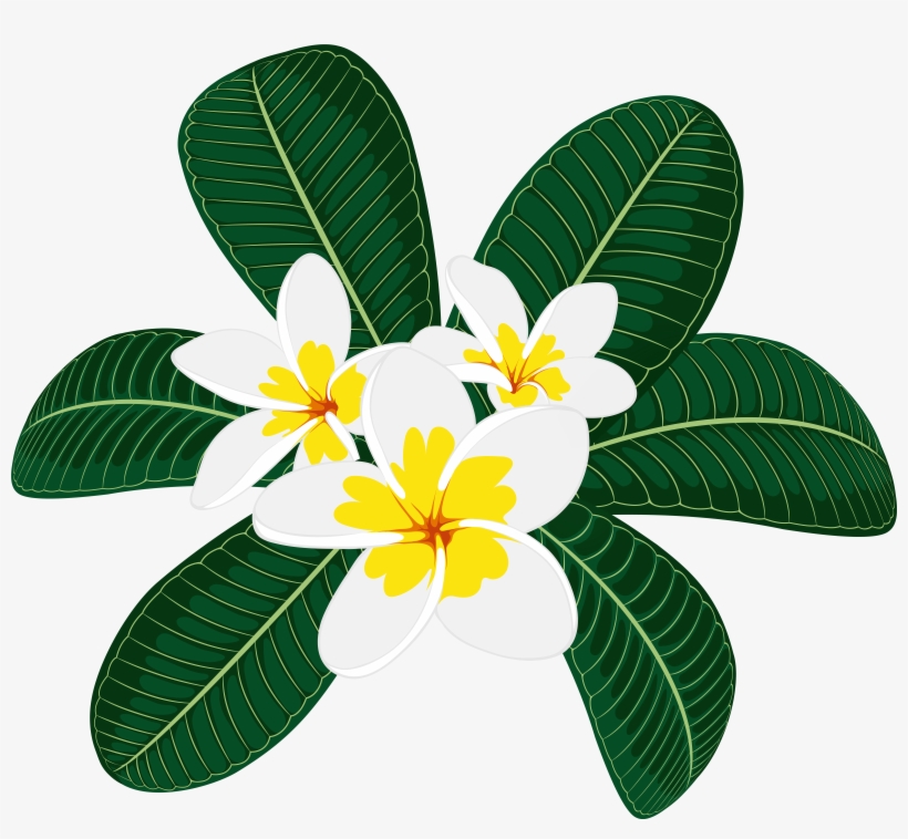 View Full Size, transparent png