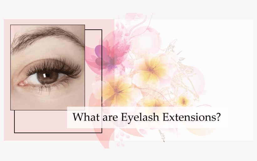 Eyelash Extensions, transparent png