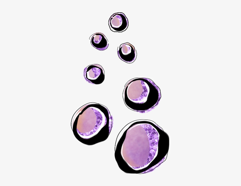 Eye Shadow, transparent png