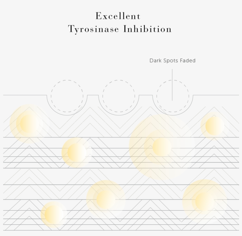 Superwhite 377vc Ingredient Illustration - Diagram, transparent png
