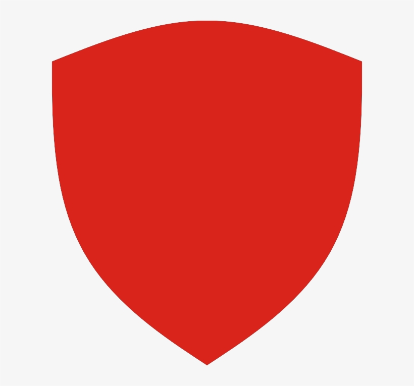 Global Protection Systems Company Geobrugg Has Donated, transparent png