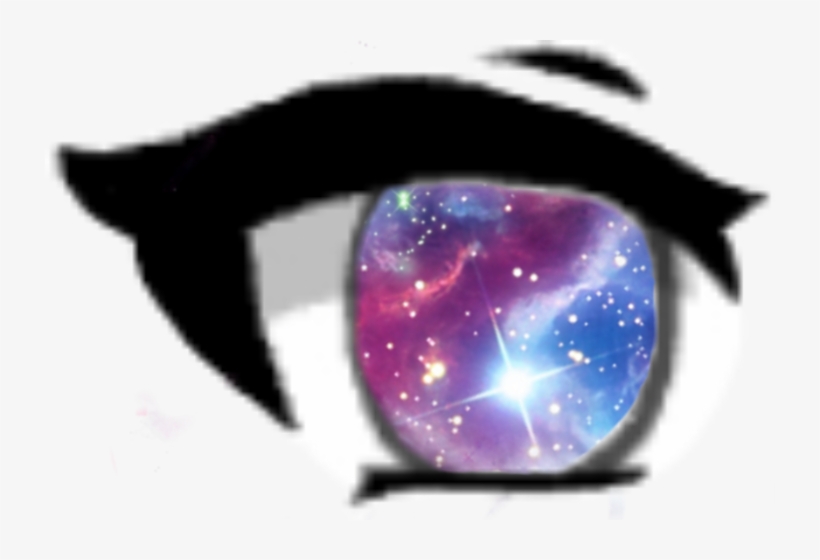 Cat, transparent png