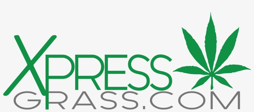 - Logo Vector - Graphic Design, transparent png