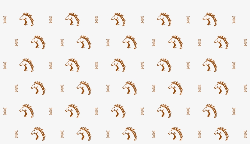 Pixbot › Hd Pattern Design - Visual Arts, transparent png