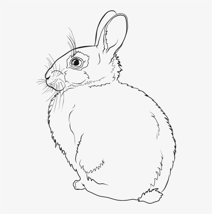 Hare Easter Bunny Rabbit Line Art Drawing - Rabbit Line Art, transparent png