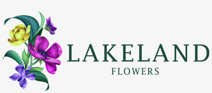 Lakeland, Fl Florist - Rosa Glauca, transparent png