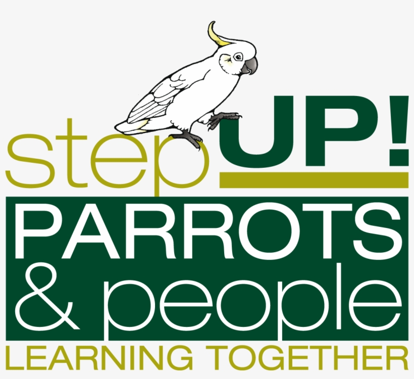 International Parrots 2020 Convention - Lit Lounge, transparent png