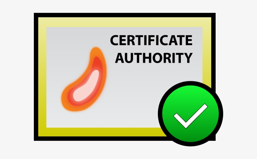 Certificate, transparent png