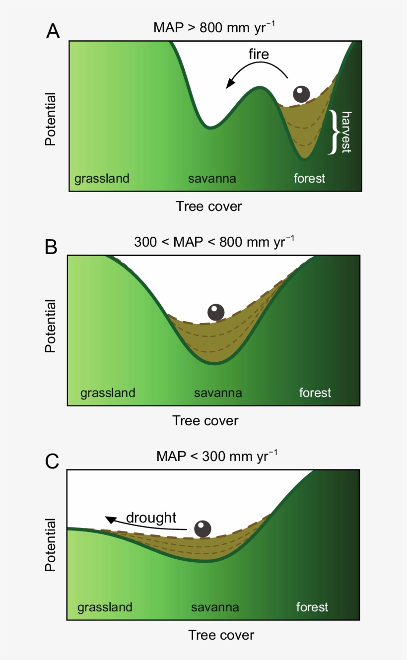 Conceptual Representation Of How Tree Harvest Erodes - Grass, transparent png