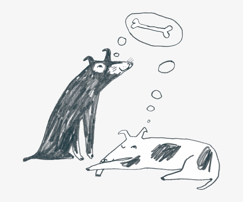 Articles - Sketch, transparent png