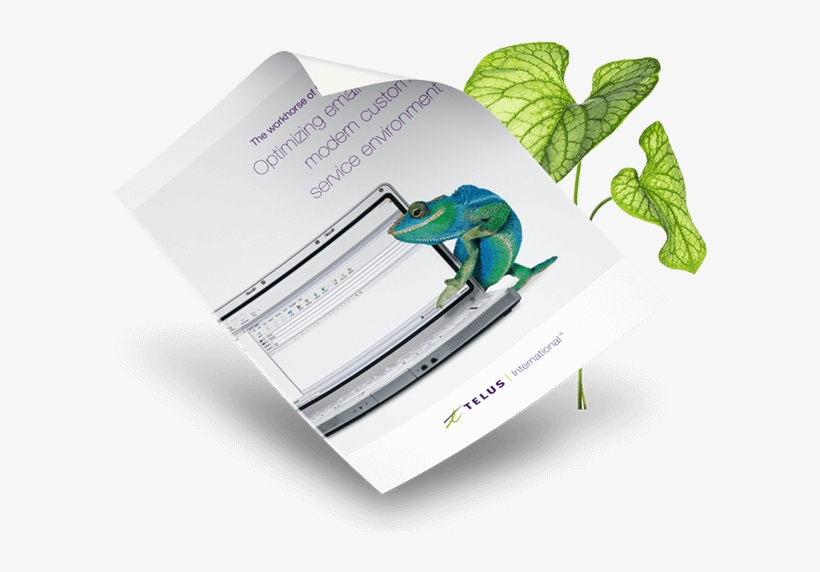Featured Resources, transparent png