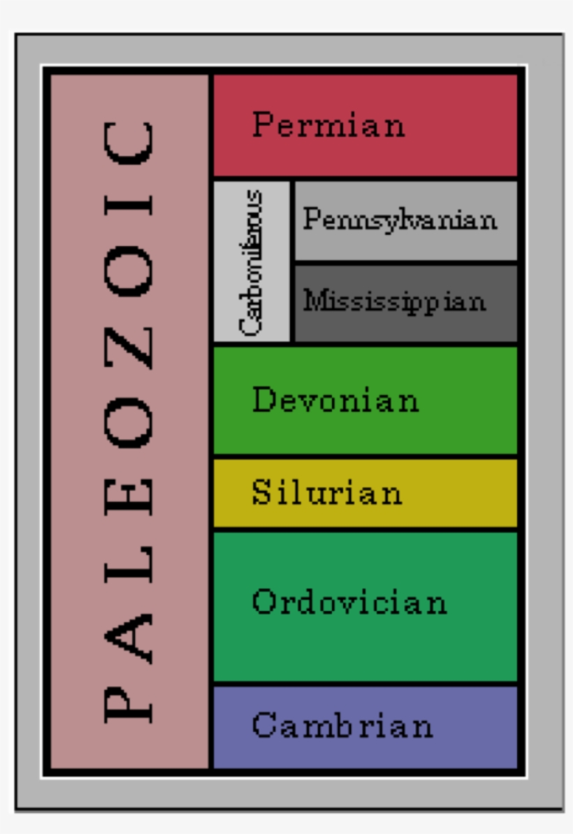 Amphibian-like Creatures That Were Ancestors Of Fish, - Timeline Permian Time Period, transparent png