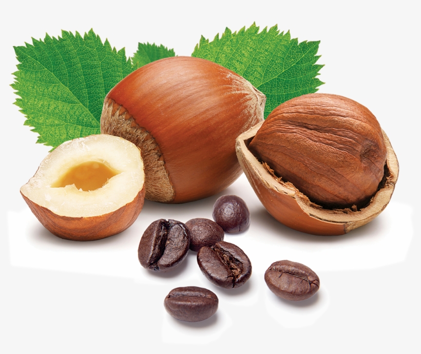 Hazelnut Latte Nsa - Hazelnuts Png, transparent png