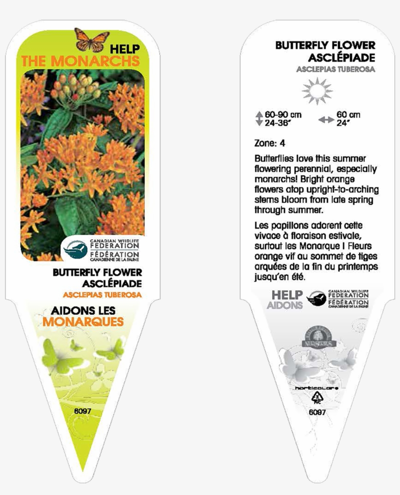 Look For Some Of These Tags - English Marigold, transparent png