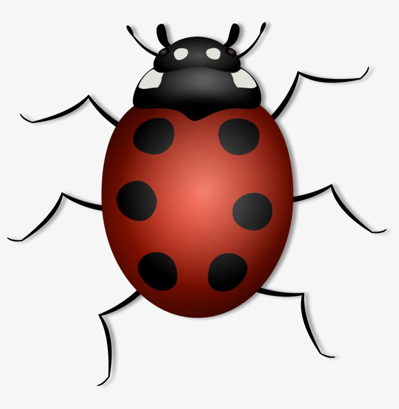June Bug Clip Art Download, transparent png