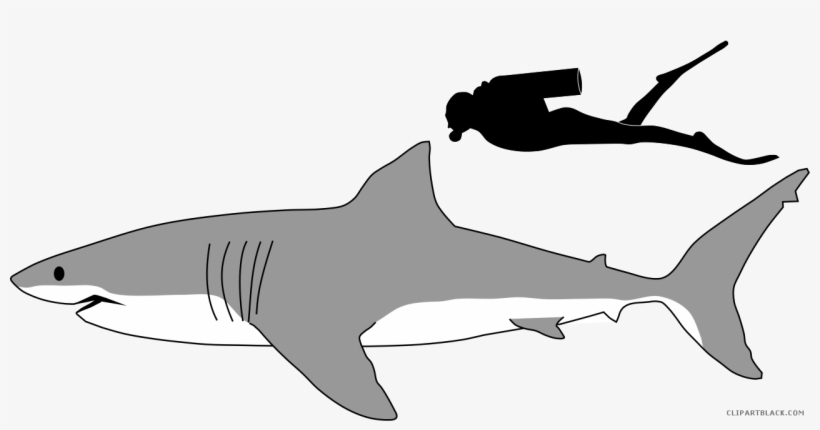 Great White Shark Animal Free Black White Clipart Images - Great White Shark Size To Human, transparent png