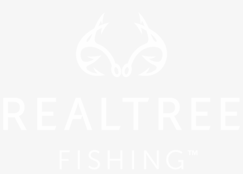 More Than A Lifestyle - Png Format Twitter Logo White, transparent png