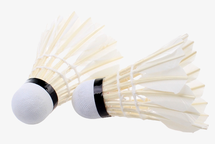 Specifications Of Dhs 402a Goose Feather Training Badminton - Badminton, transparent png