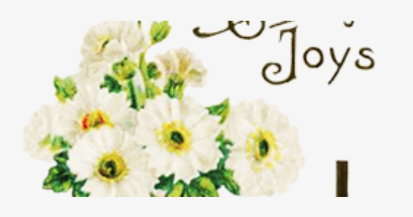 Easter Flowers Can Be Ordered To Beautify Our Sanctuary - Needlework, transparent png