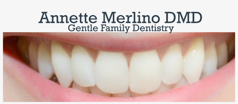 Annette Merlino, Dmd Logo - Tooth, transparent png