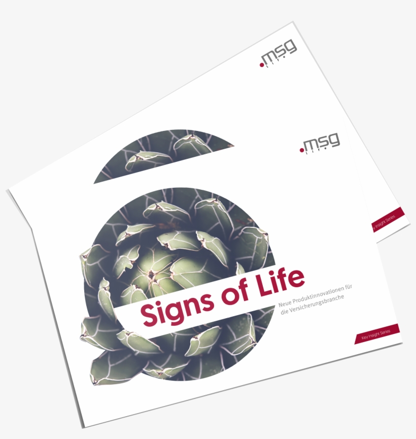 Signs Of Life Boxshot 2 - Cor&fja, transparent png
