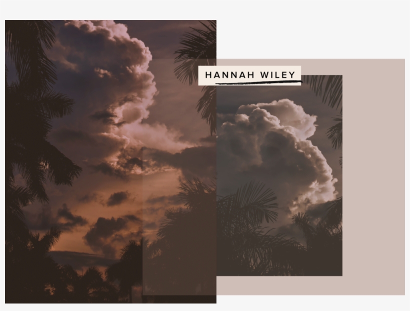 Kaurspace 02 Header Hannah - Attalea Speciosa, transparent png