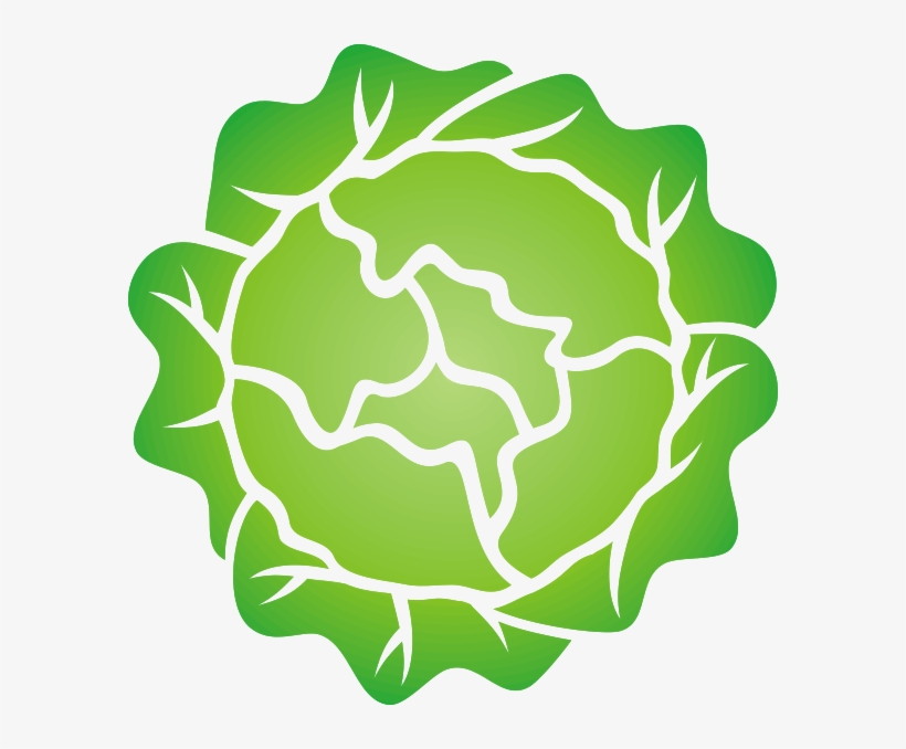 How To Set Use Head Of Lettuce Clipart, transparent png